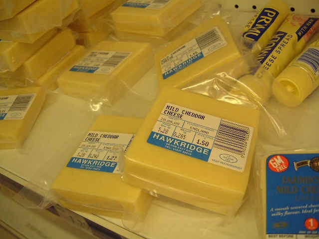 Cheese.jpg (49007 bytes)